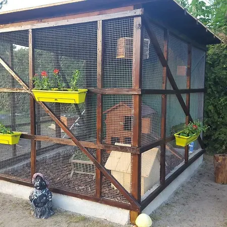 Gasthuis Fischerhaus 3*